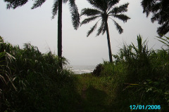PENTAX Image